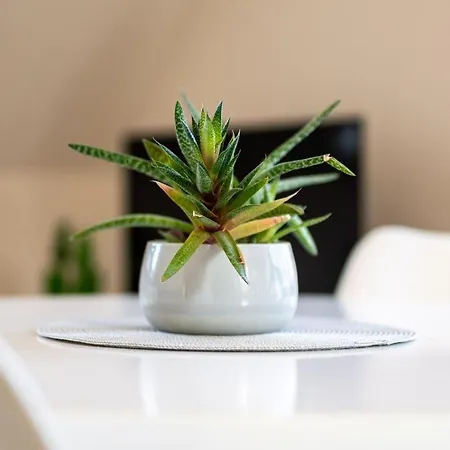 Strandhaus-3-og Marienfelde